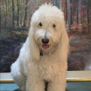 Meet your Posher, Lynn